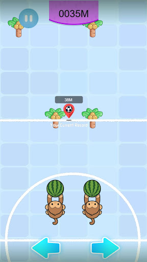Two monkey lanes with obstacles